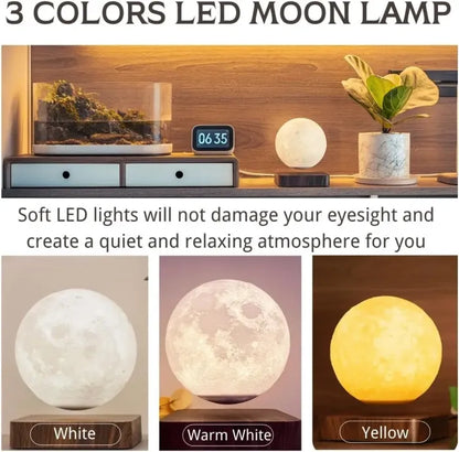 Moon Lamp (Holiday Pricing)